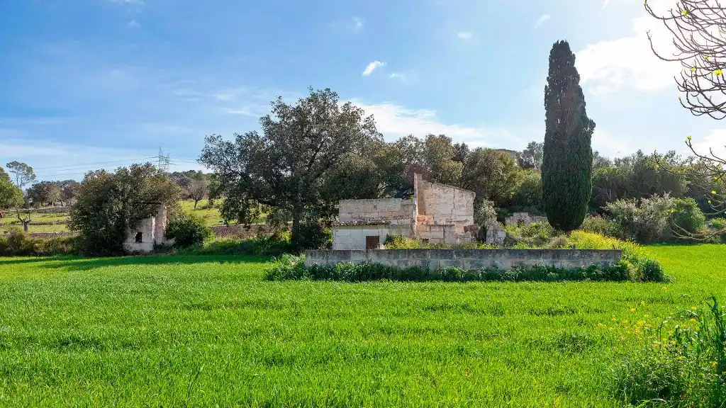 Rural land for sale in Muro, imagen 12