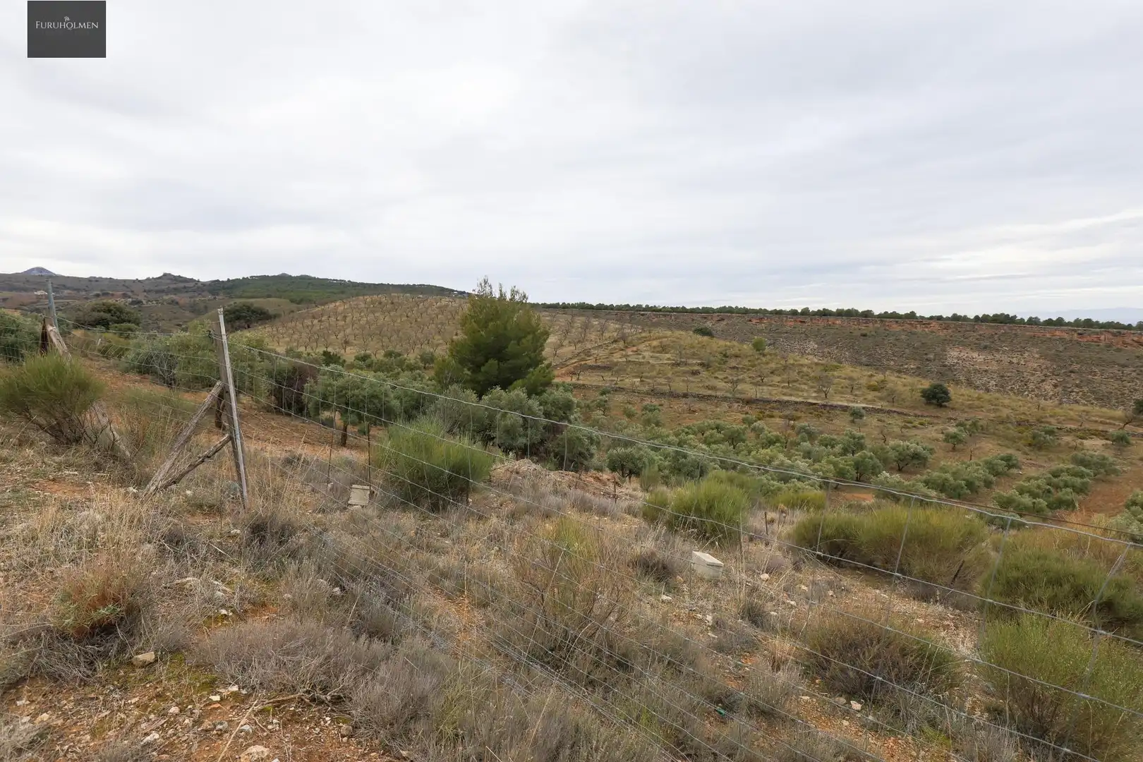 Terreno rustico in vendita a EXTRARRADIO, imagen 18
