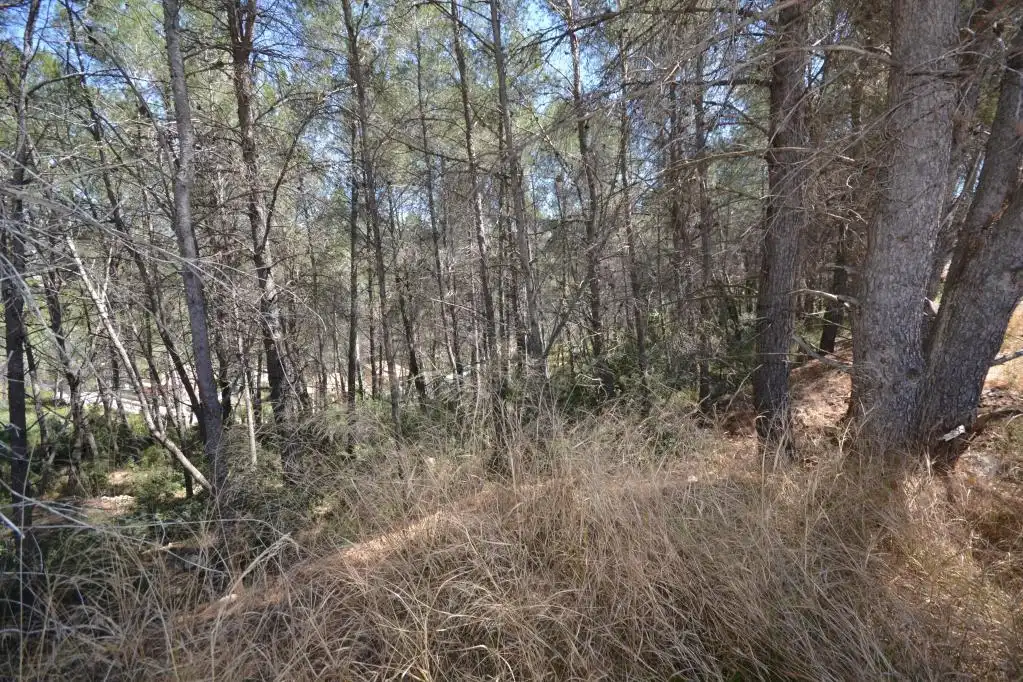 Rural land for sale in c/ can macia, imagen 35