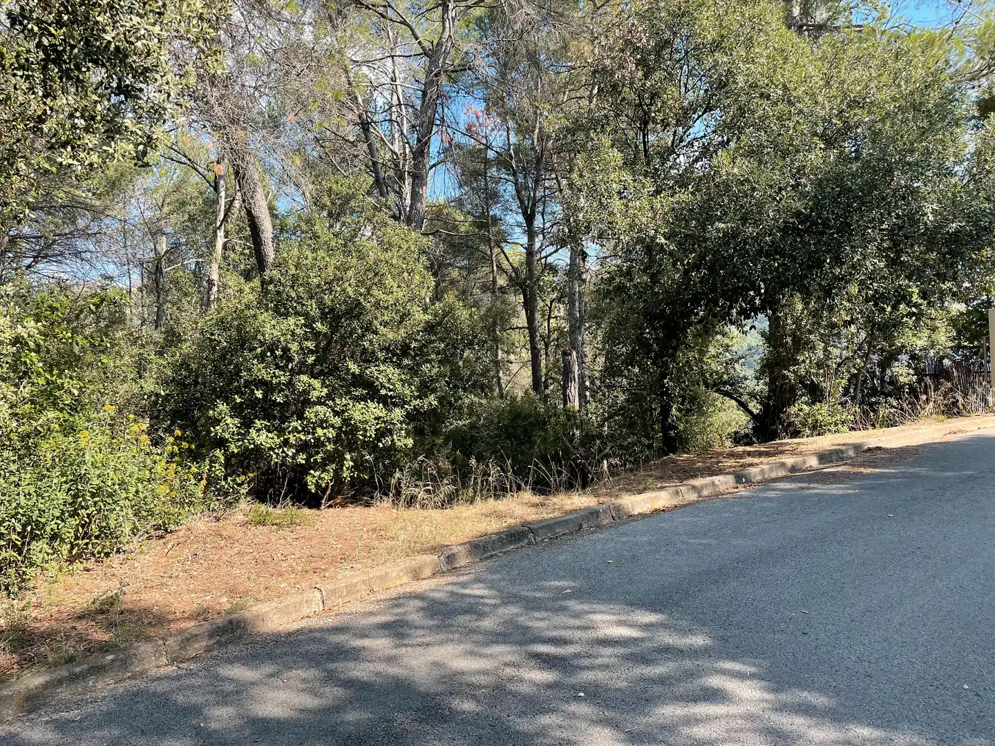 Terrain résidentiel à vendre à Carrer del Turó de la Carlina 29, imagen 4