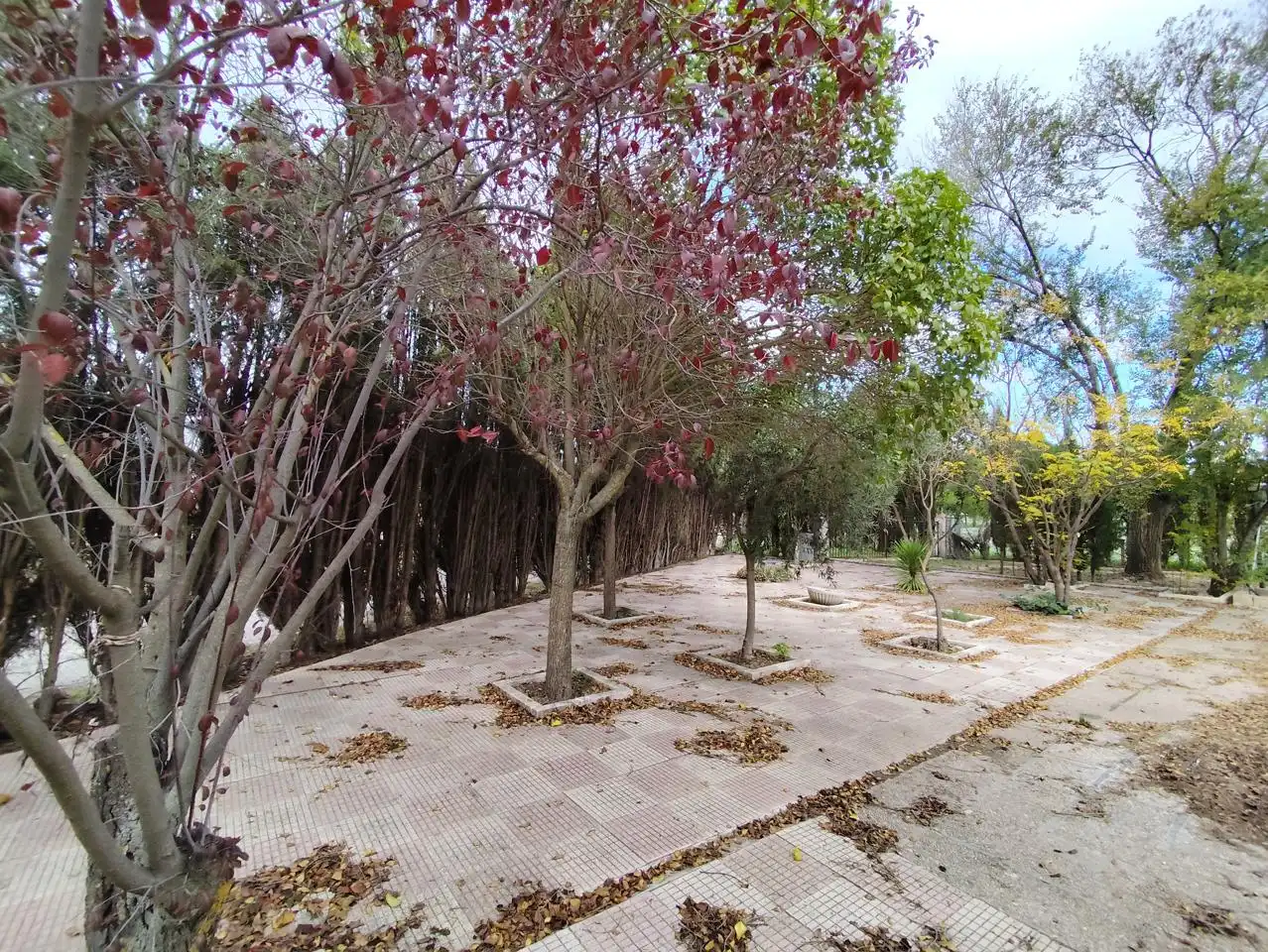 House with pool for sale in Onil, imagen 21