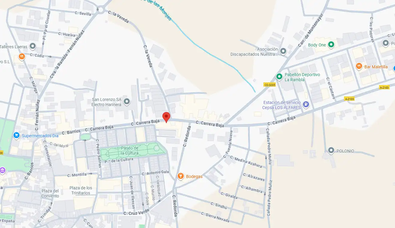 Piso en venta en Calle Carrera Baja 2, imagen 2