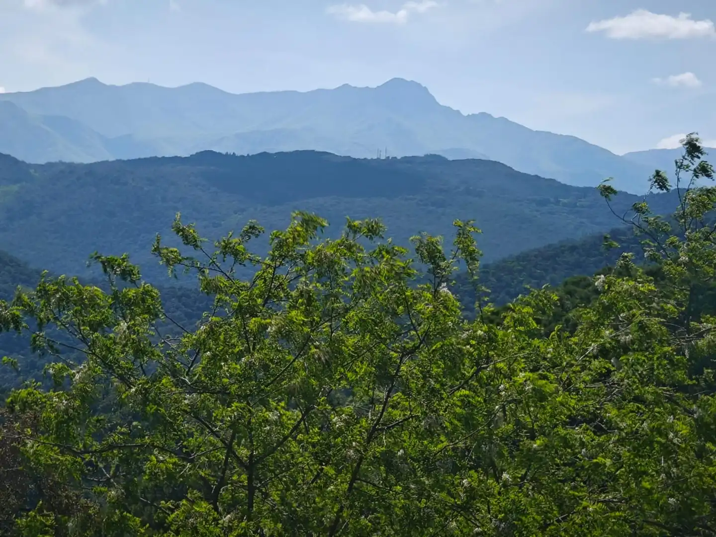 Terreno residencial en venta en Riudarenes, imagen 4