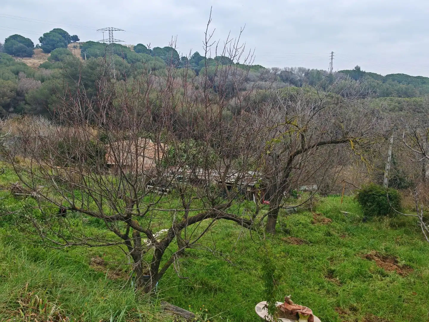Terreno rustico in vendita a Zona Industrial, imagen 8