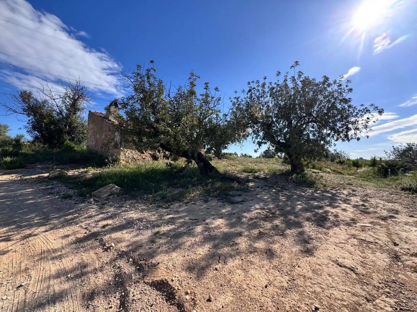 Land for sale in Polígono 26 Parcela 21 CASA BLANCA-BARBETA. TORRE, 26, Poligono Mas del Jutge