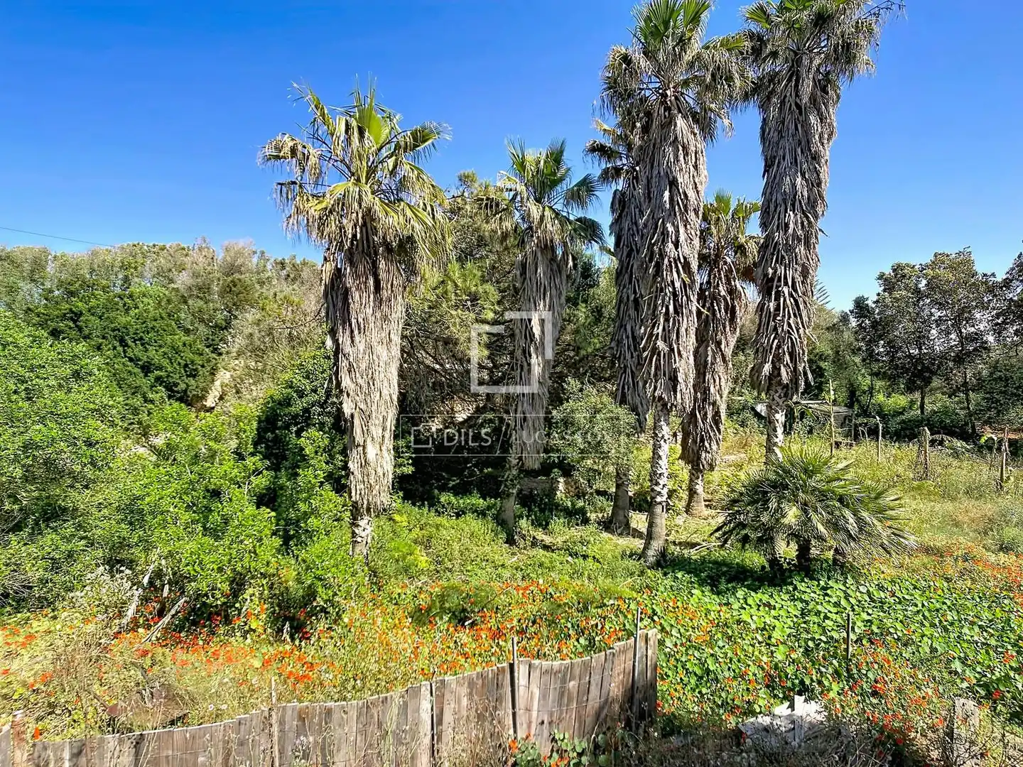 Finca rústica en venda en Ciutadella de Menorca amb Aire condicionat, Jardí privat i Terrassa