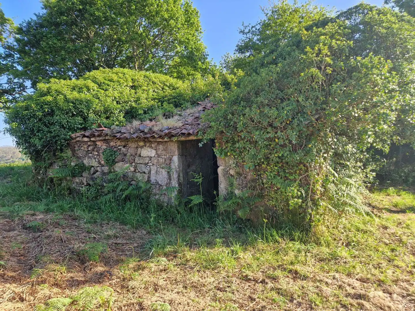 Lands and plots for sale in A Baña, imagen 4