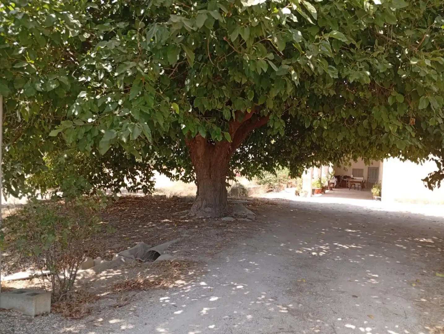 Exterior view of Houses for sale in Puçol