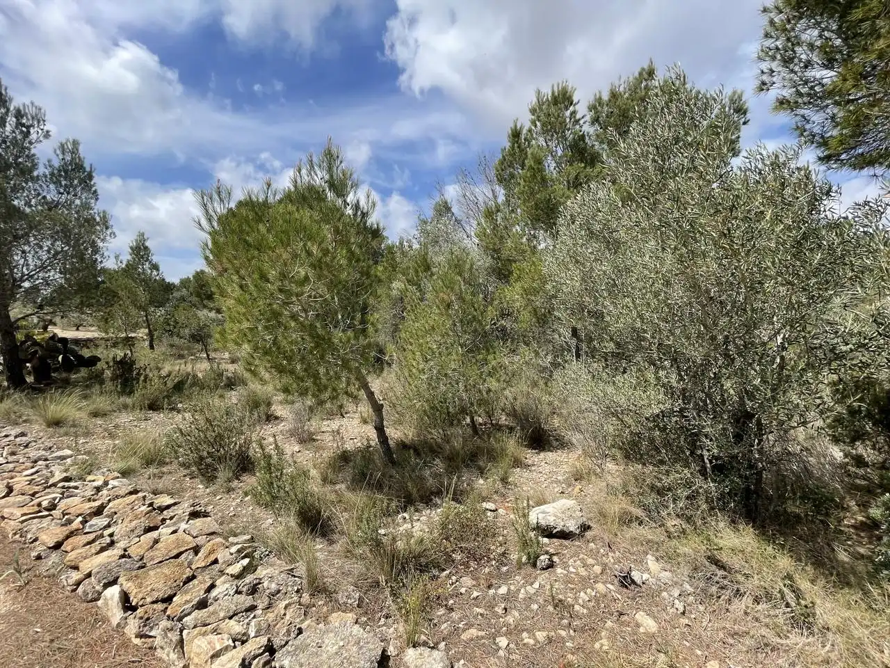 Terreni e lotti in vendita a barrera, imagen 17
