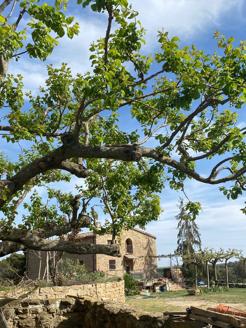 Jardín de Finca rústica en venta en Artesa de Segre con Calefacción, Jardín privado y Amueblado