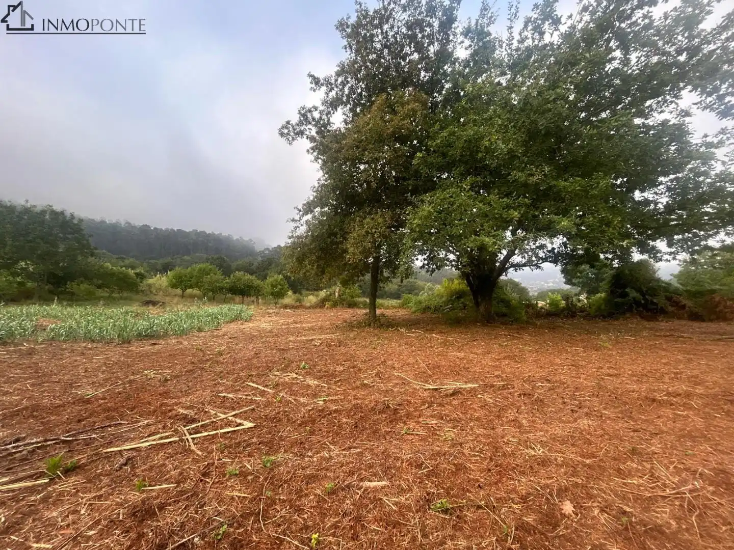 Terrenys i solars en venda a Parroquias Rurales, imagen 14
