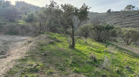 Foto 5 de Residencial en venda a Pago de Rioseco, Chaparil - Torrecilla - Punta Lara, Nerja