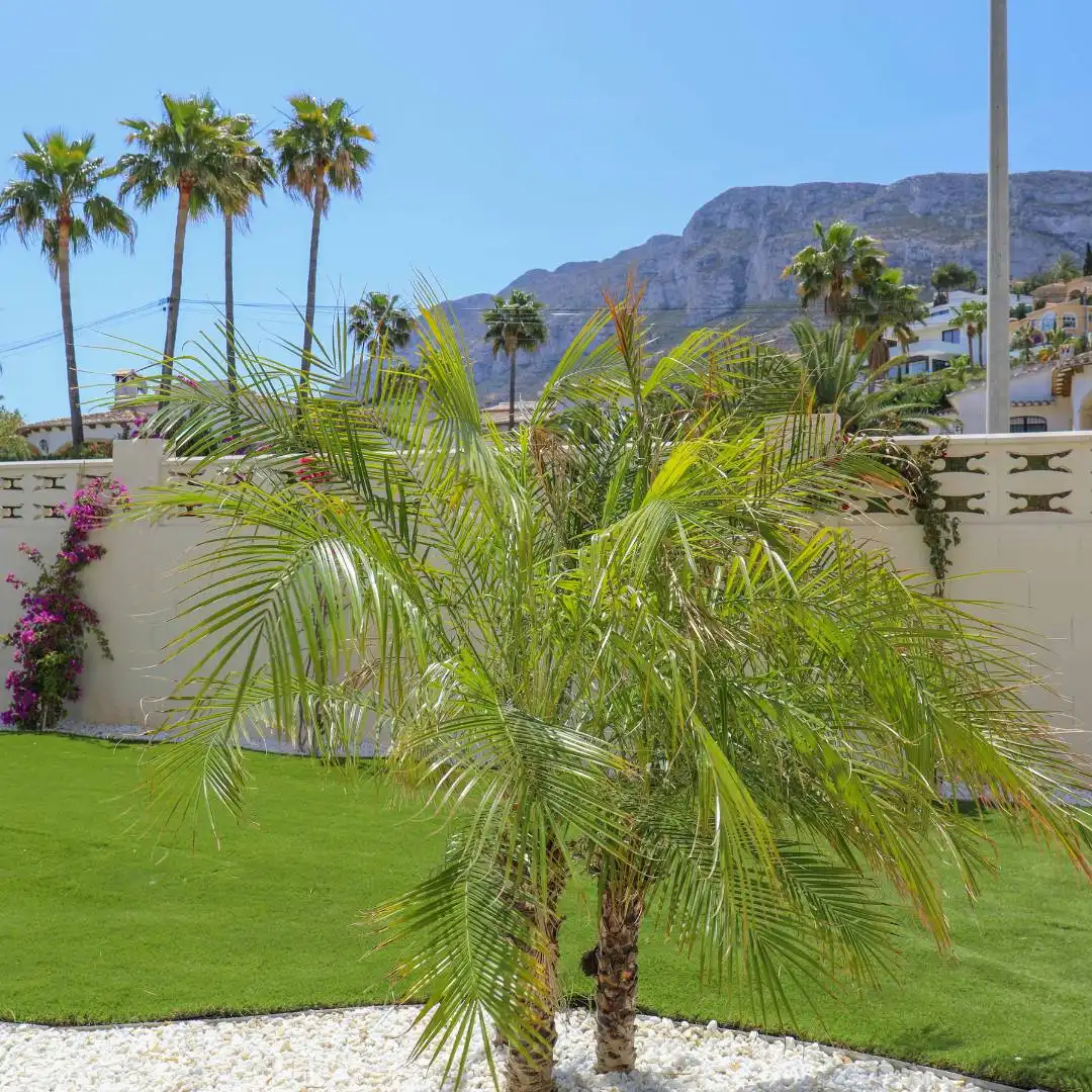 Apartment with garden for sale in La Pedrera - Vessanes, imagen 17