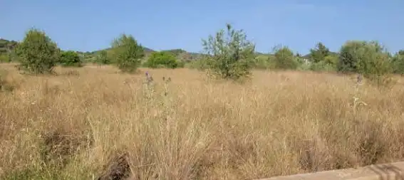 Rural land for sale in Pt Paraje Bolavar, imagen 11