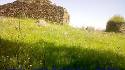 REF-4221 -FINCA ARROYO DEL AGUILA -BEAS -FINCA DE SECANO-2??6??2??3??8??2??