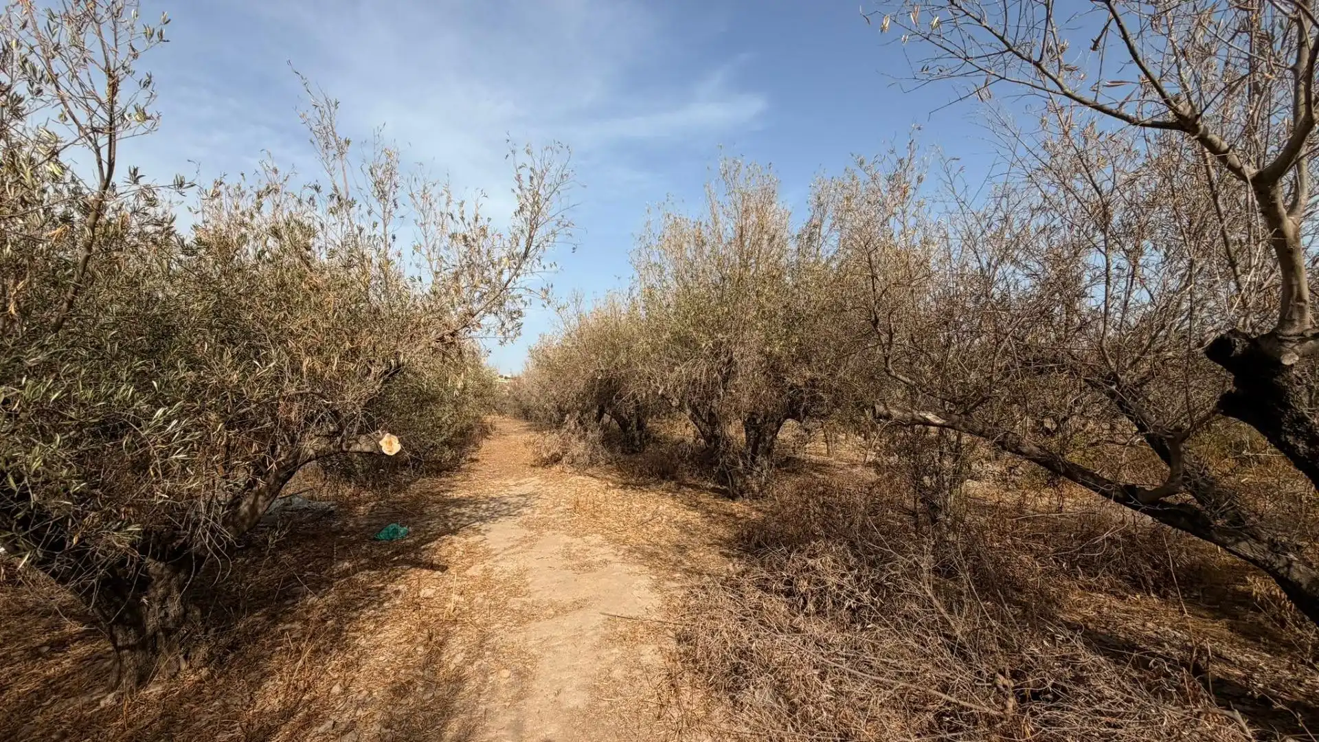 Terreny rústic en venda a Huércal de Almería 5, imagen 2