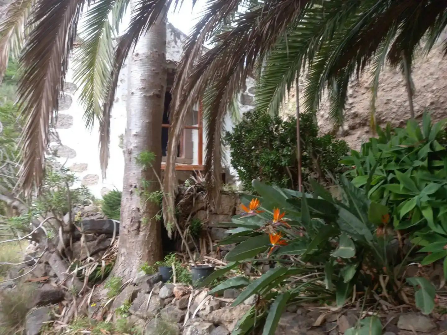 Vista exterior de Finca rústica en venda en Firgas