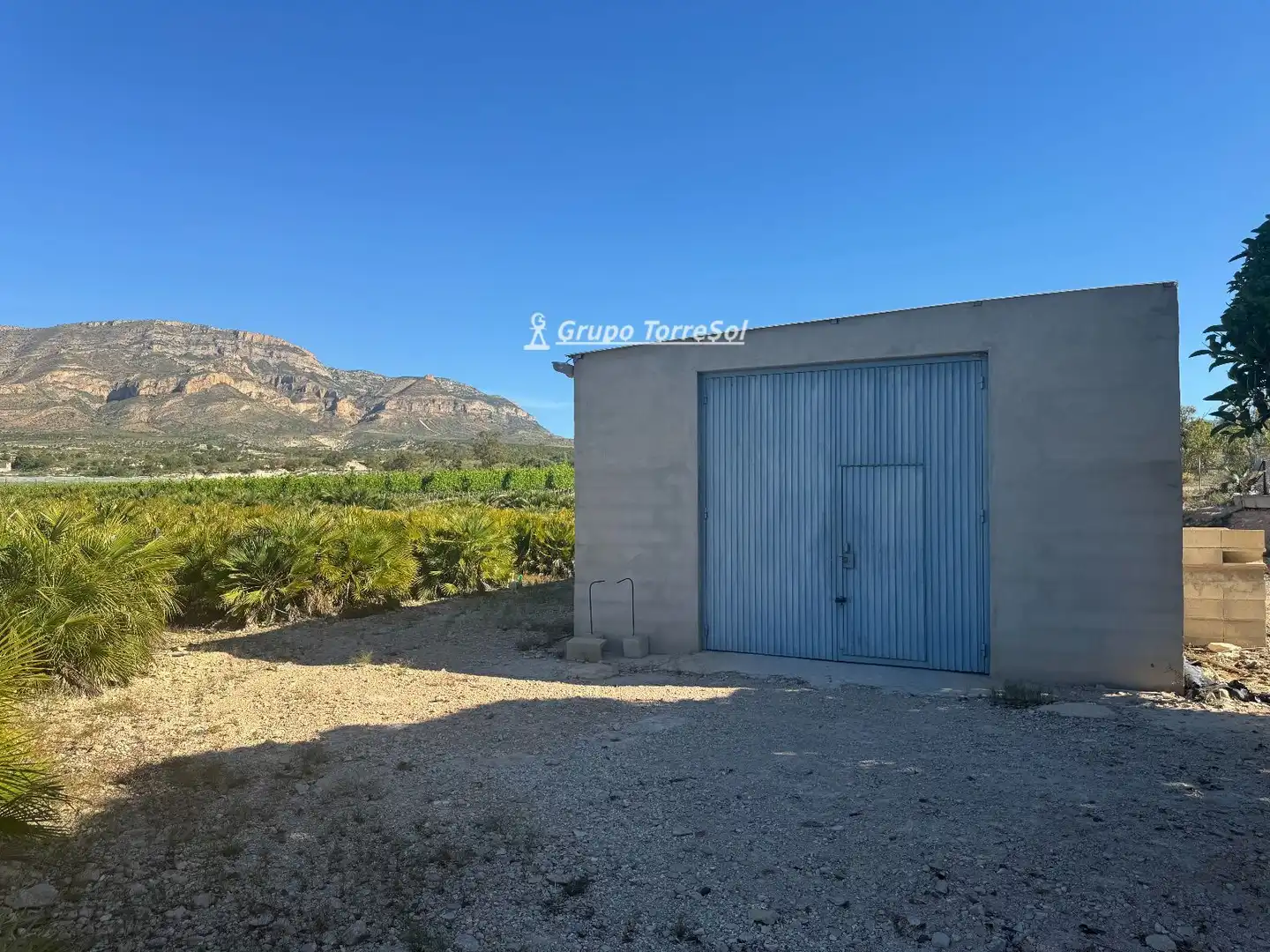 Land for sale in Monforte del Cid