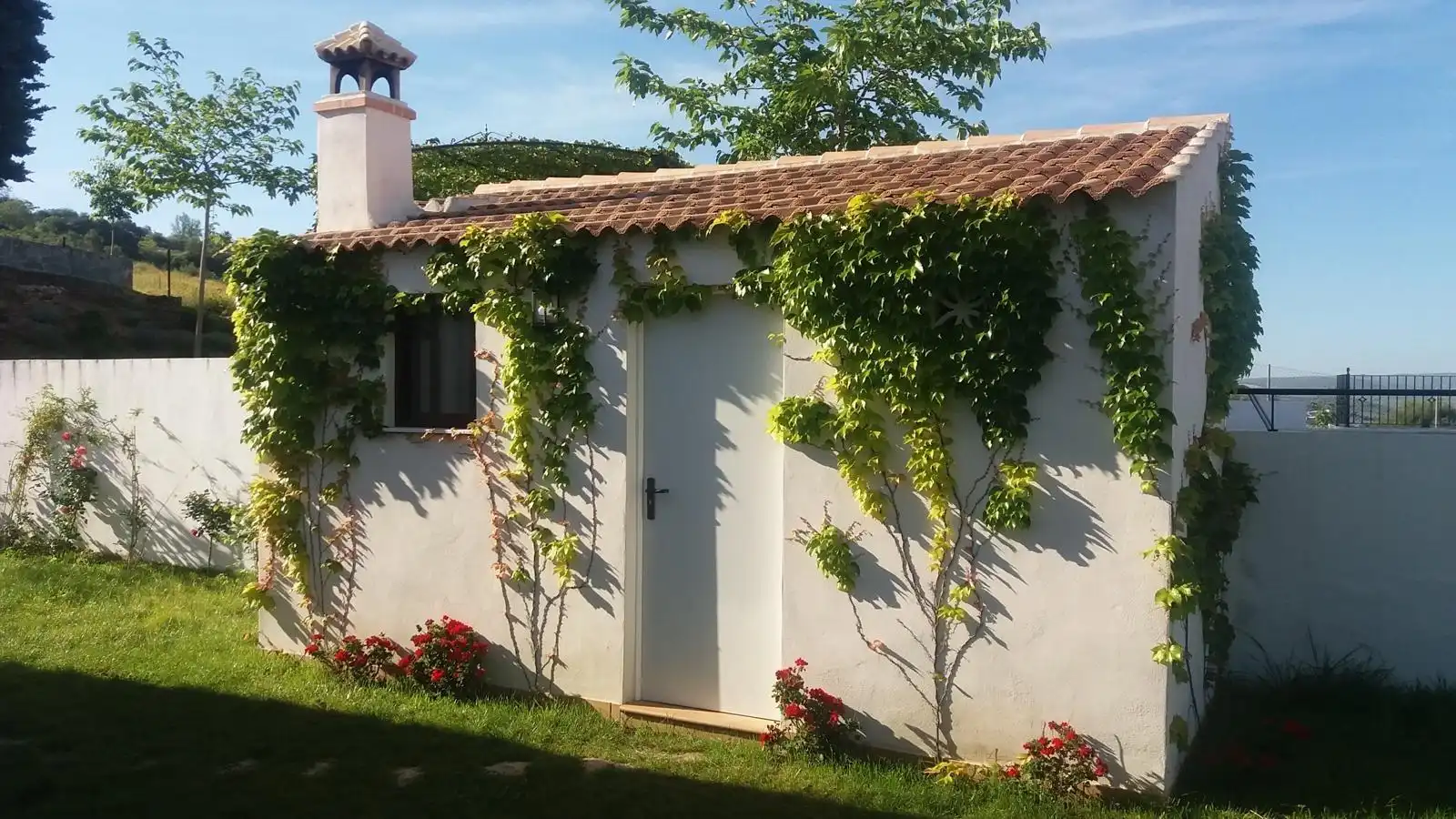 Garden of Country homes for sale in Cabra  with Air Conditioner, Heating and Private garden