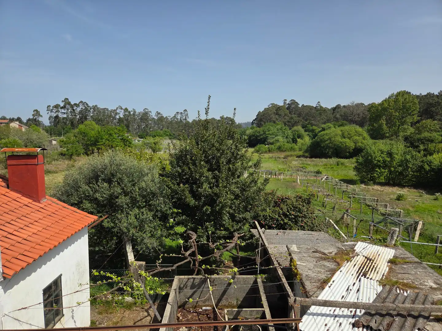 Jardí de Casa o xalet en venda en Sanxenxo amb Jardí privat i Terrassa