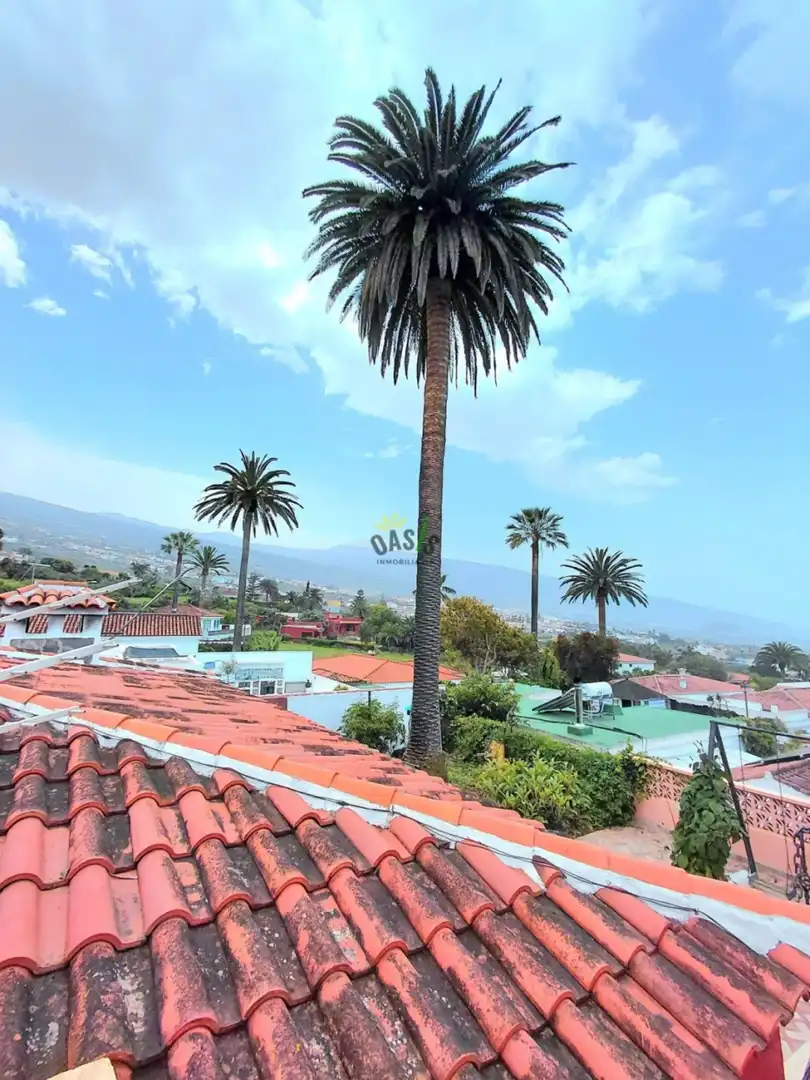 House with pool for sale in Las Cuevas - Los Gómez, imagen 48