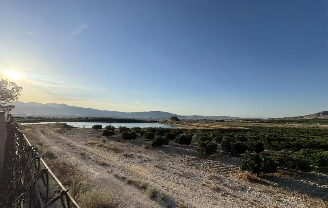 Casa rústica amb piscina en venda a Alhama de Murcia ciudad, imagen 28