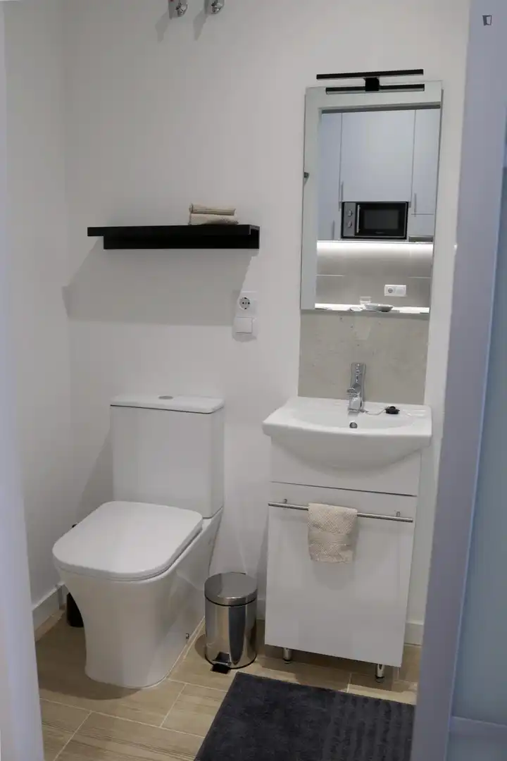 Bathroom of Study for rent in Burjassot  with Air Conditioner, Furnished and Washing machine