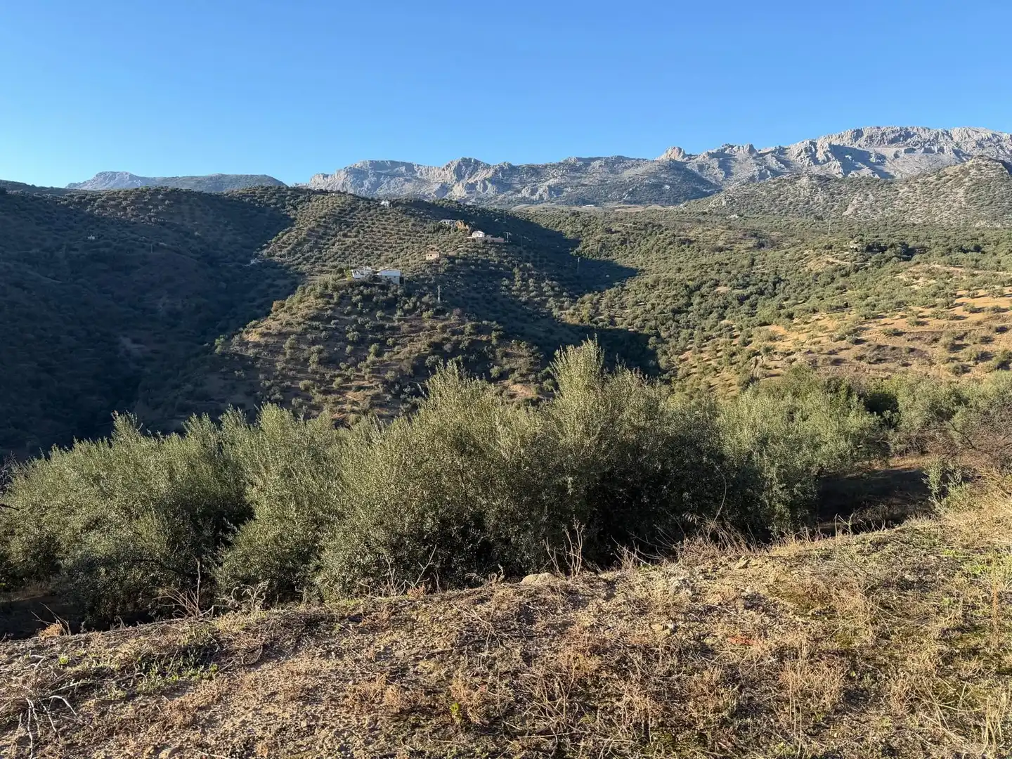 Finca rústica en venta en Riogordo con Jardín privado y Terraza