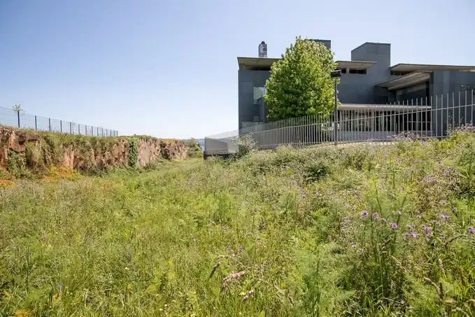 Vista exterior de Terreno en venta en A Coruña Capital 