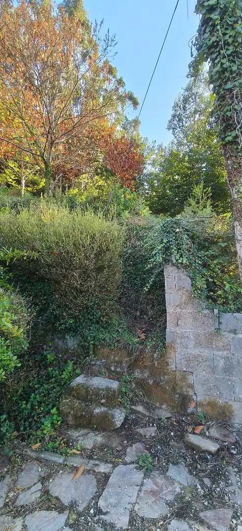 Maison rustique avec jardin à vendre à Lugar Peneiro 7, imagen 44