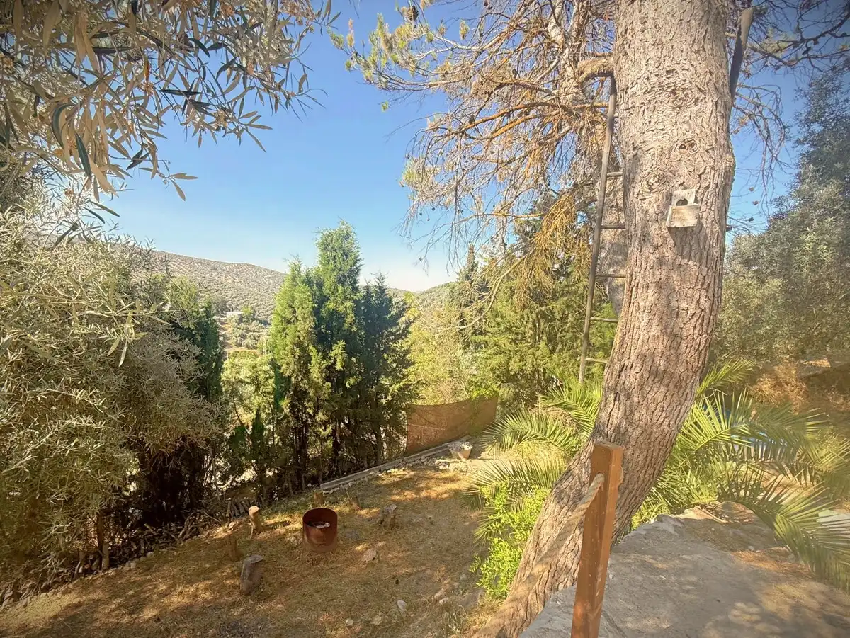 Jardín de Finca rústica en venta en Villanueva de Algaidas con Jardín privado y Trastero