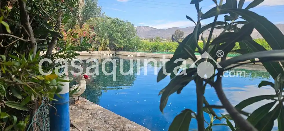 Xalet amb piscina en venda a Pol. Ind. I1, imagen 62