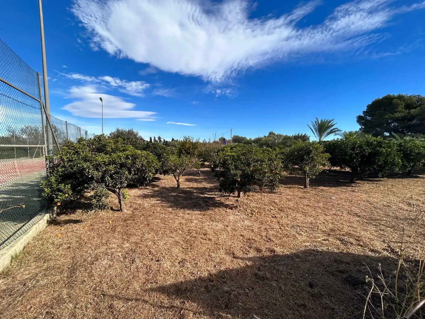 Villa avec terrasse à vendre à Los Balcones - Los Altos, imagen 5