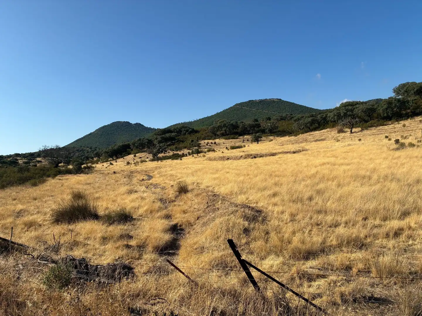 Rural land for sale in Puerto de San Vicente, imagen 18