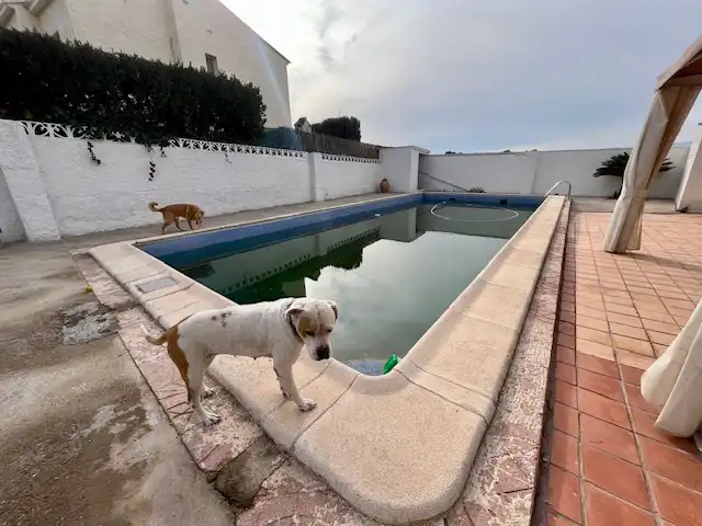 Villa mit Terrasse zum Verkauf in Vilamarxant, imagen 7