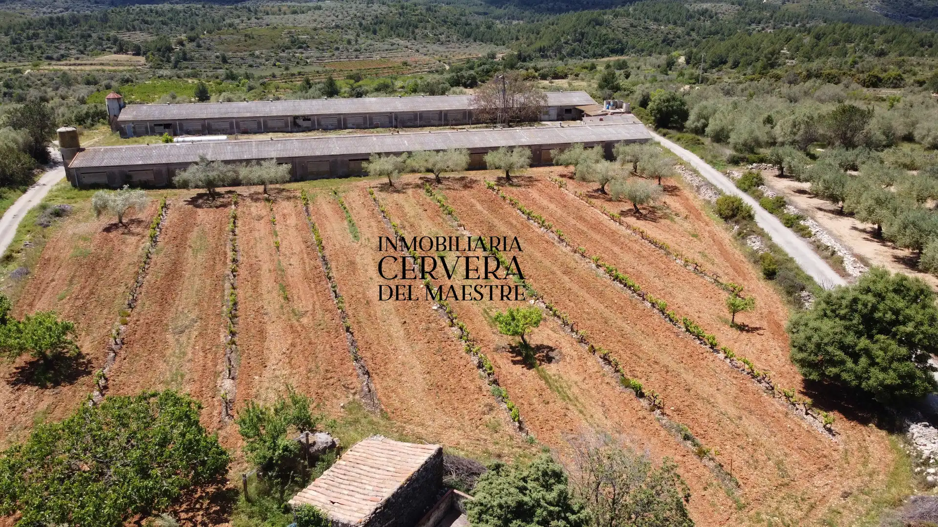 Terreno rustico in vendita a Cervera del Maestre, imagen 9