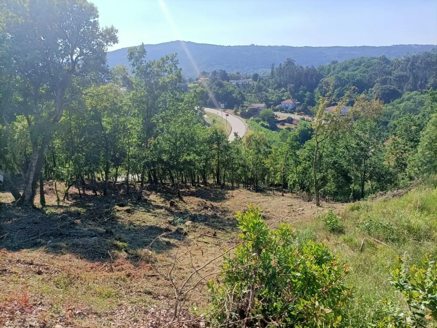 Terreni e lotti in vendita a San Rosendo