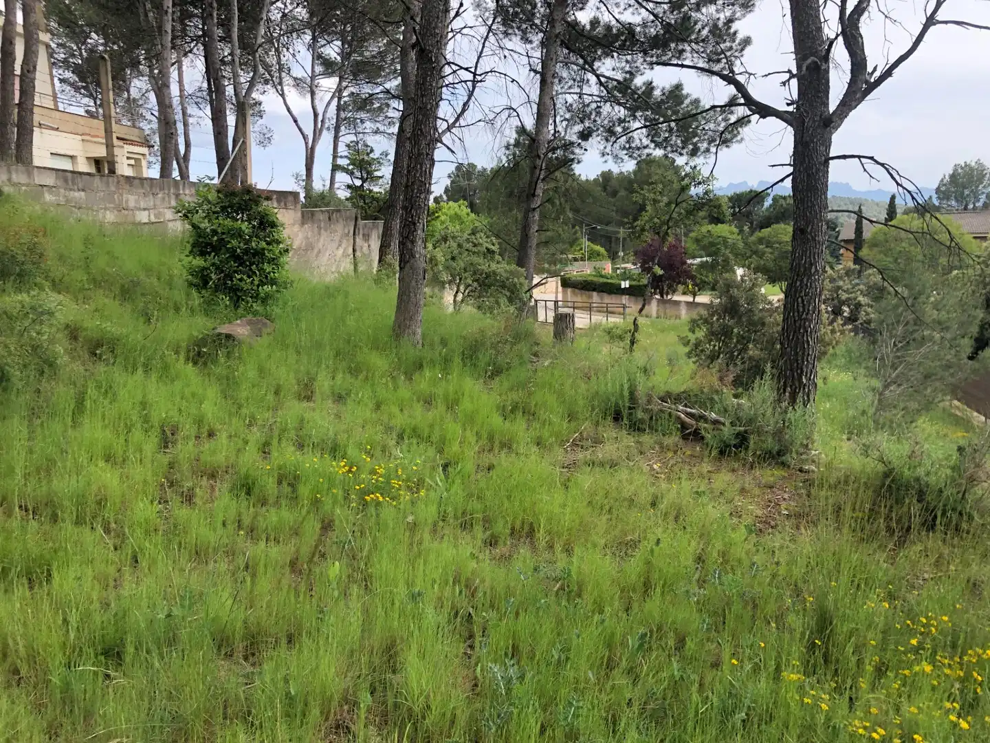 Terrenys i solars en venda a Castellnou de Bages, imagen 2