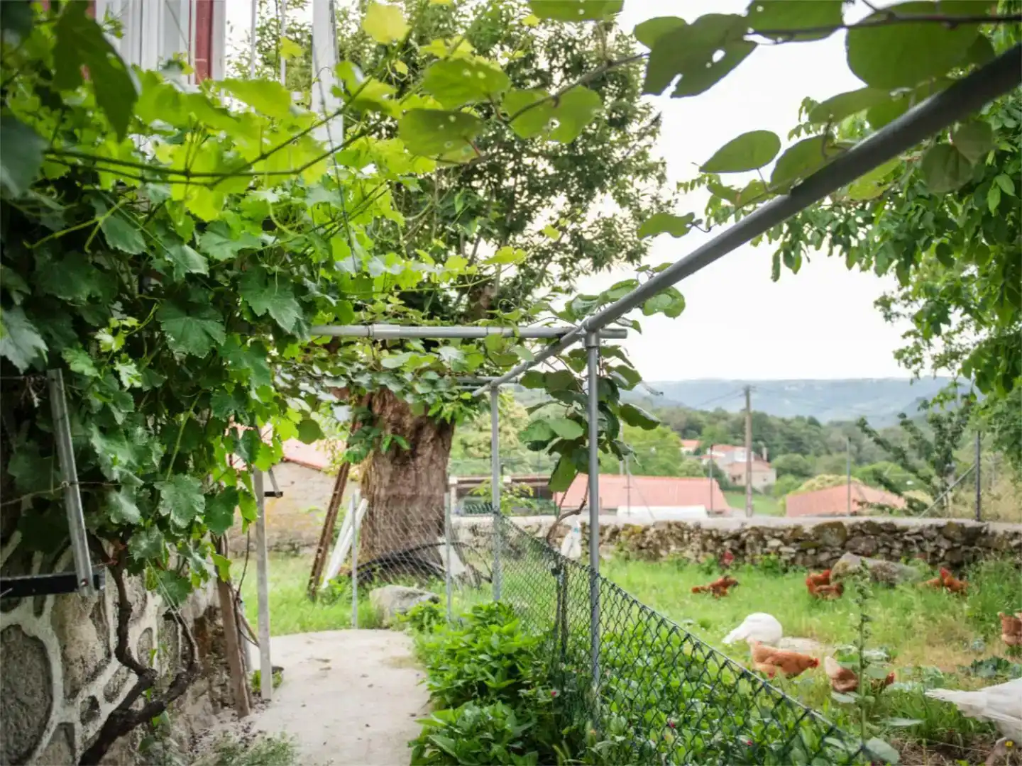 Jardí de Casa o xalet en venda en Taboada amb Jardí privat, Parquet i Traster