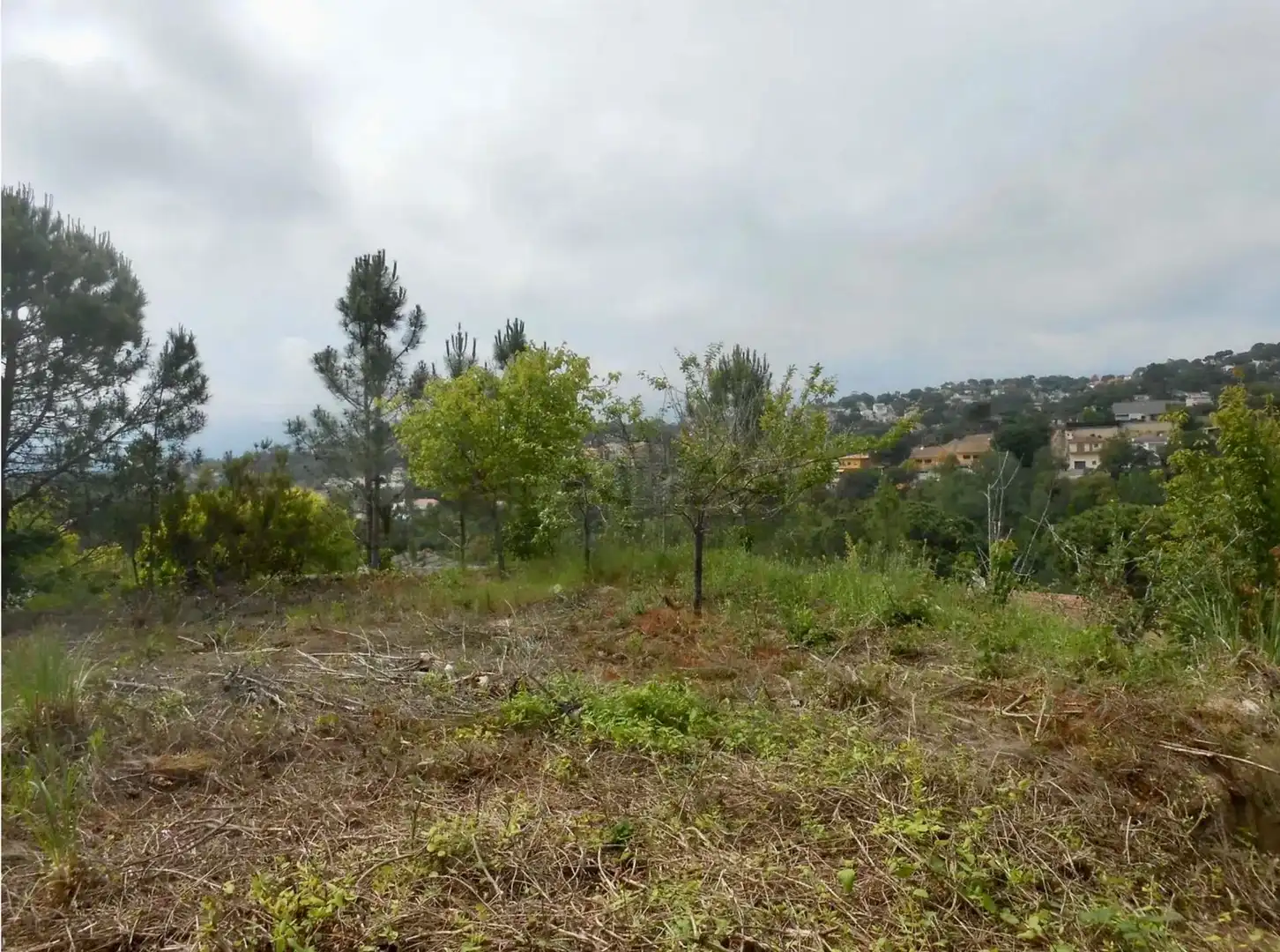 Wohnbaugrundstück zum Verkauf in Lloret Residencial - Montlloret, imagen 4
