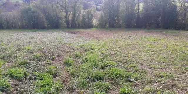 Terreny residencial en venda a Las Regueras, imagen 8