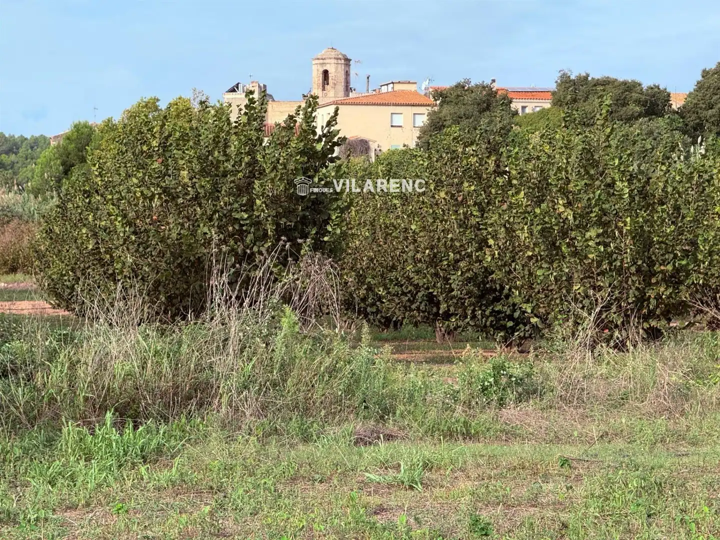 Rustikales Grundstück zum Verkauf in La Riera de Gaià, imagen 5