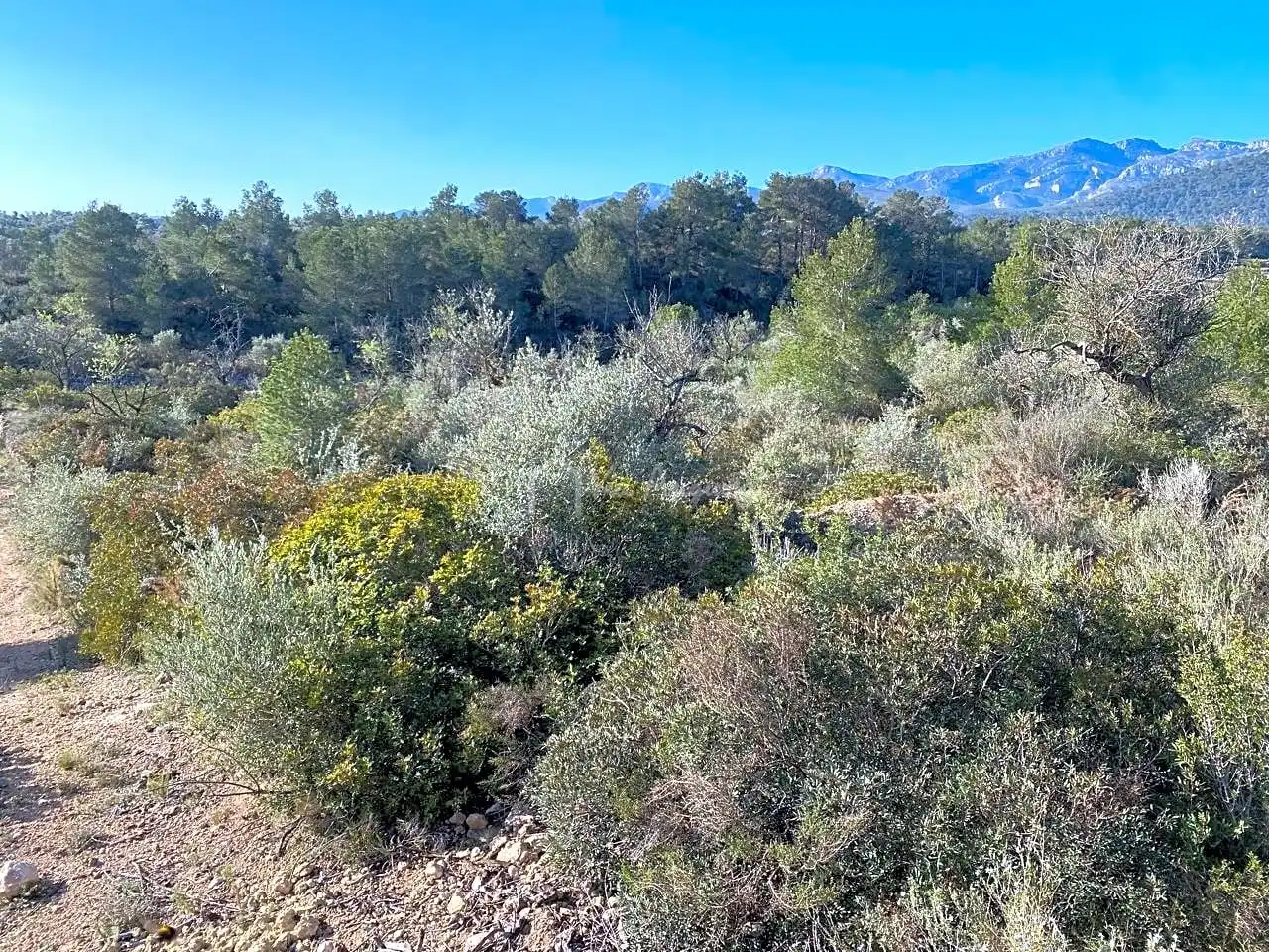 Terrain rustique à vendre à Gabachons, imagen 11