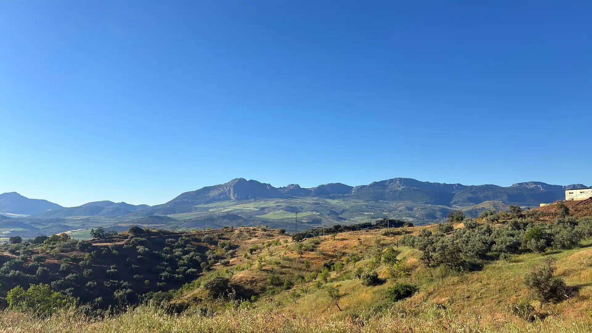 Vista exterior de Finca rústica en venda en Casabermeja amb Aire condicionat, Calefacció i Jardí privat