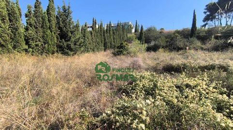 TERRENO EXCLUSIVO EN VENTA A 1 MINUTO DE LA PLAYA DE FENALS, imatge 4