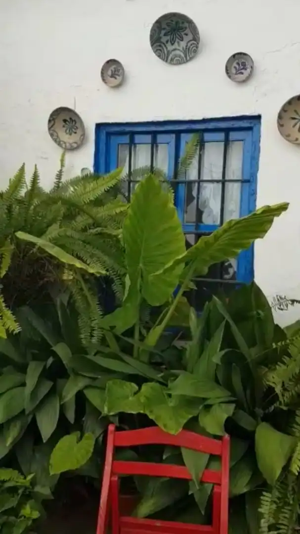 Jardí de Casa o xalet en venda en Benamocarra amb Terrassa i Moblat