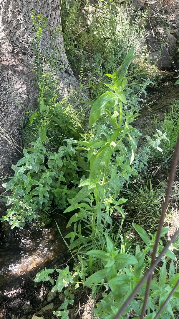 Terreni e lotti in vendita a Nigüelas, imagen 10