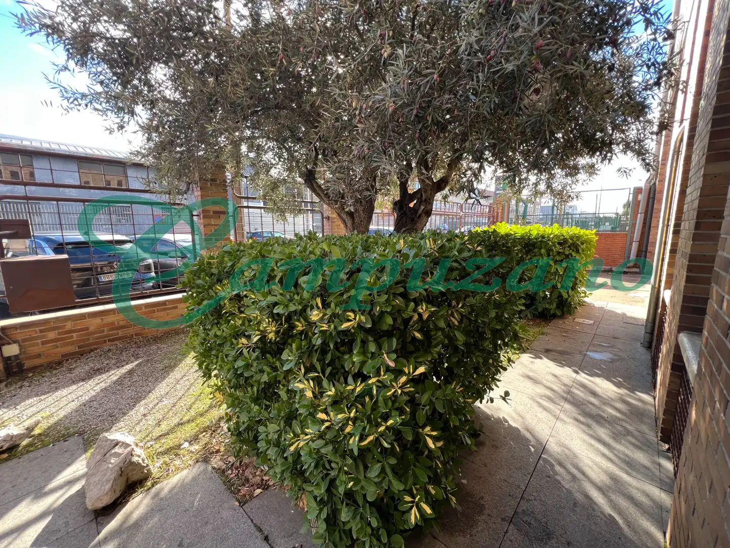 Nave industrial de alquiler en Calle de Ramón y Cajal, 29, Las Dehesillas - Vereda de los Estudiantes