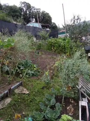 Residential land for sale in Cuesta JARROTA