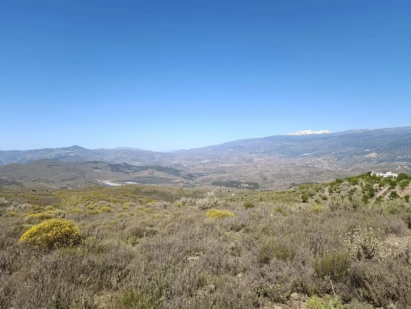 Terrenys i solars en venda a Laujar de Andarax, imagen 9